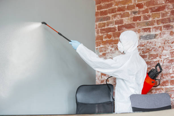 Best Mold Damage Restoration  in Copiague, NY