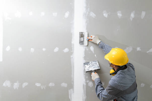 Best Emergency Mold Remediation  in Copiague, NY