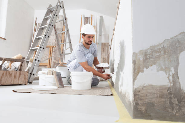 Best Mold-Related Health Consultation  in Copiague, NY