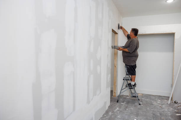 Best Mold Odor Removal Services  in Copiague, NY