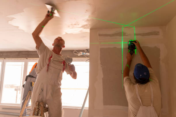 Best Mold Documentation for Insurance Claims  in Copiague, NY