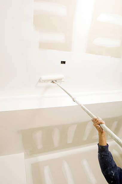 Best Basement Mold Removal  in Copiague, NY