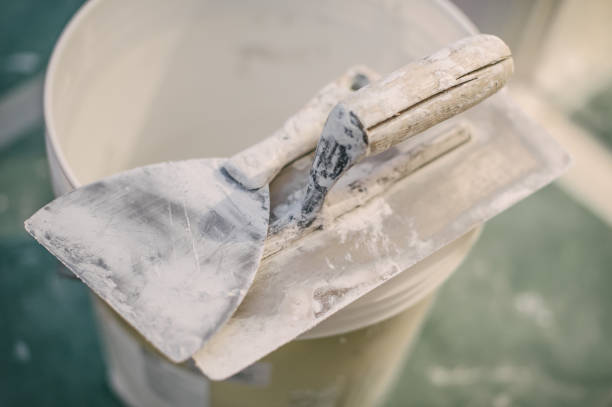 Best Mold Prevention Services  in Copiague, NY