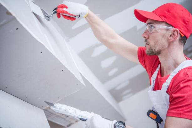 Best Commercial Mold Inspection  in Copiague, NY