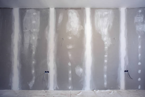 Best Real Estate Mold Inspection  in Copiague, NY